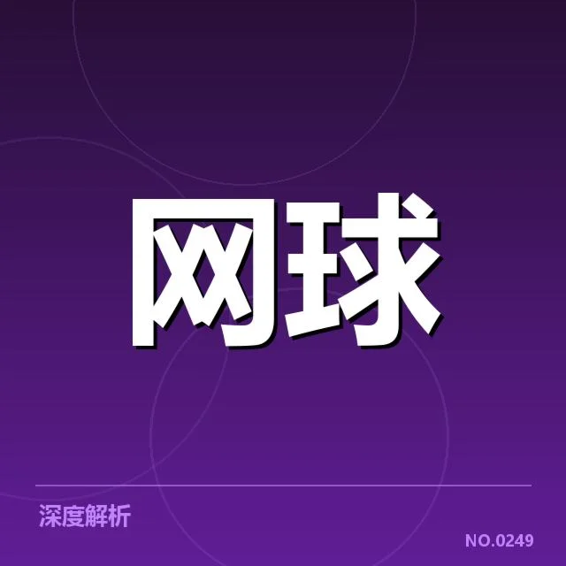 戴维斯杯伤病恢复：球员体能调控成关键疑问